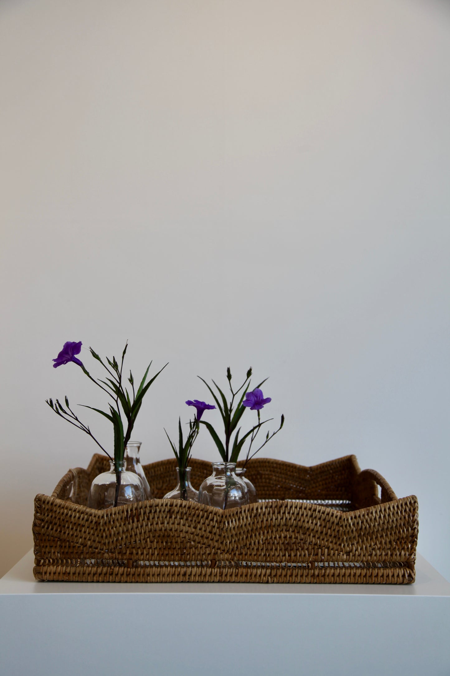 Bud Vase Set of 5