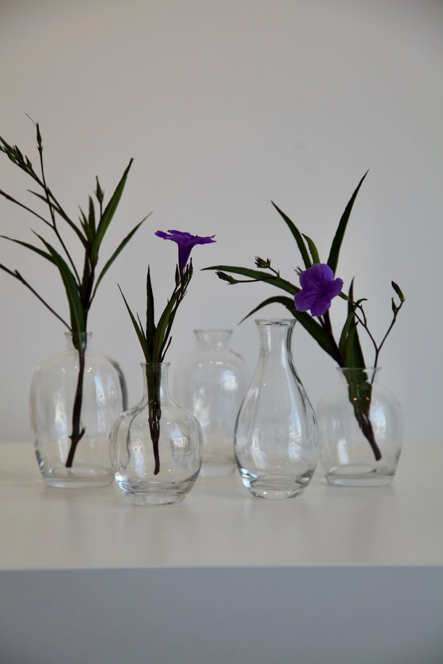 Bud Vase Set of 5