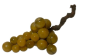 Vintage marble grapes: TCS202509