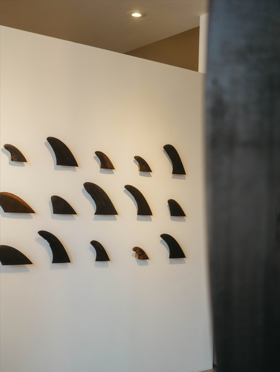 Shou Sugi Ban Study Fin Installation