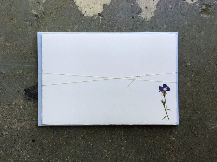 Pressed Flower Notes