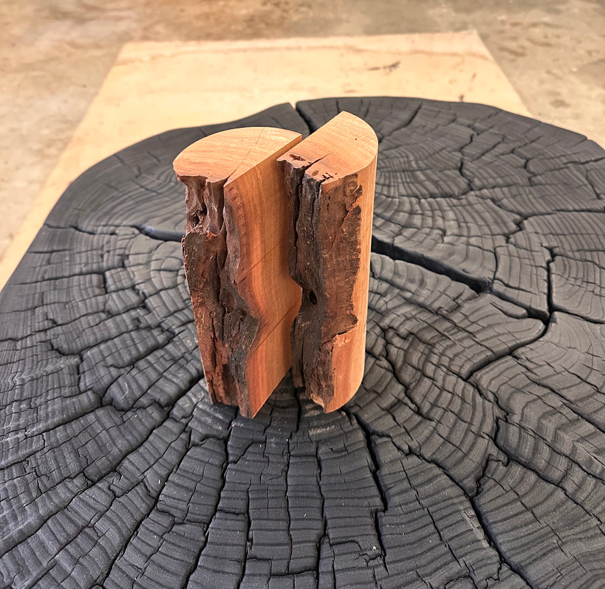 Madrona Pillar Duo by Laura Yeats