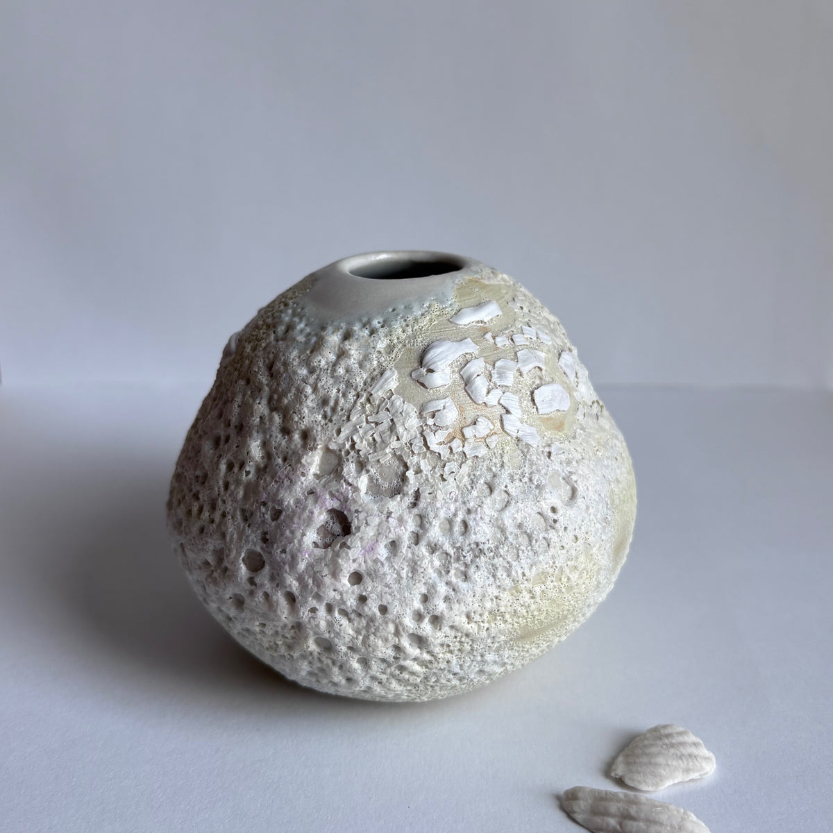 Yellow Sea shell vase by Annie Starling Sparks