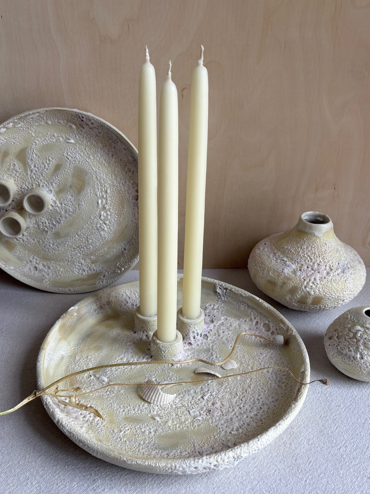 Large and Medium Yellow Sea Shell Candle dishes by Annie Starling Sparks