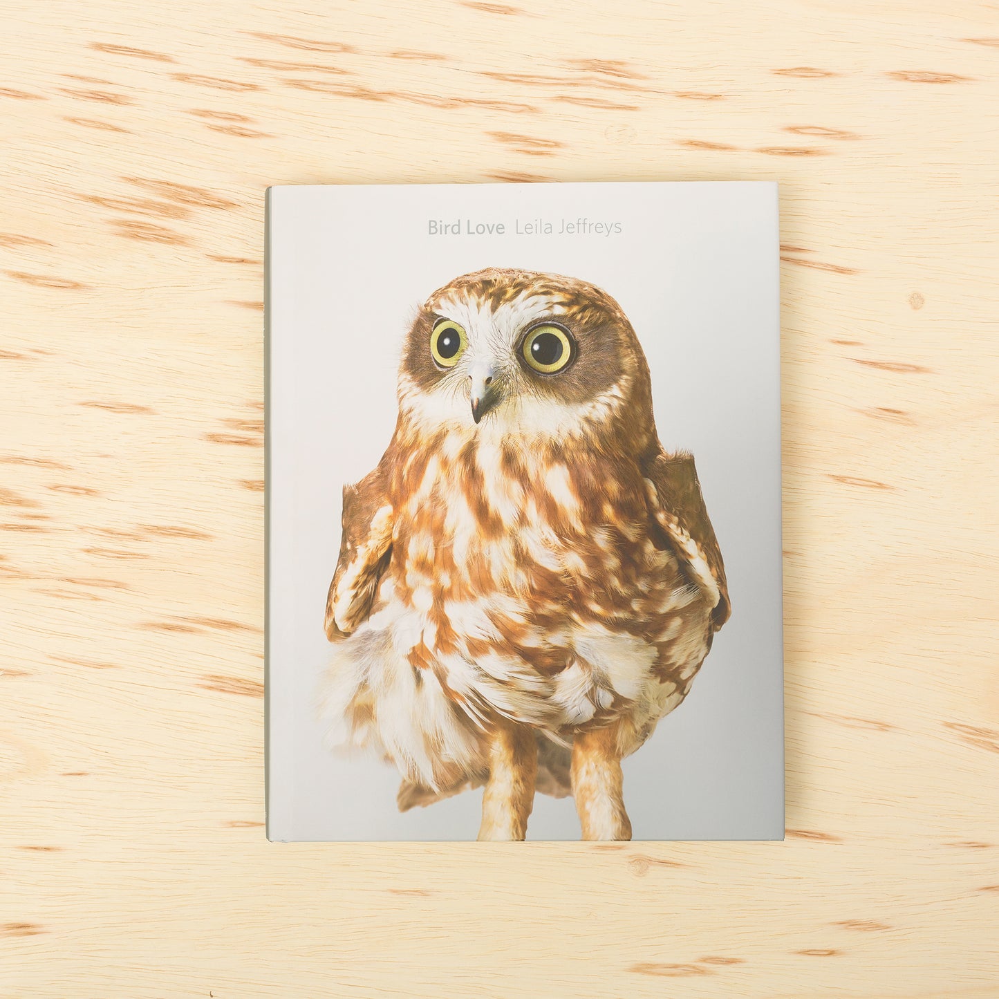 BIrd Love by Leila Jeffreys