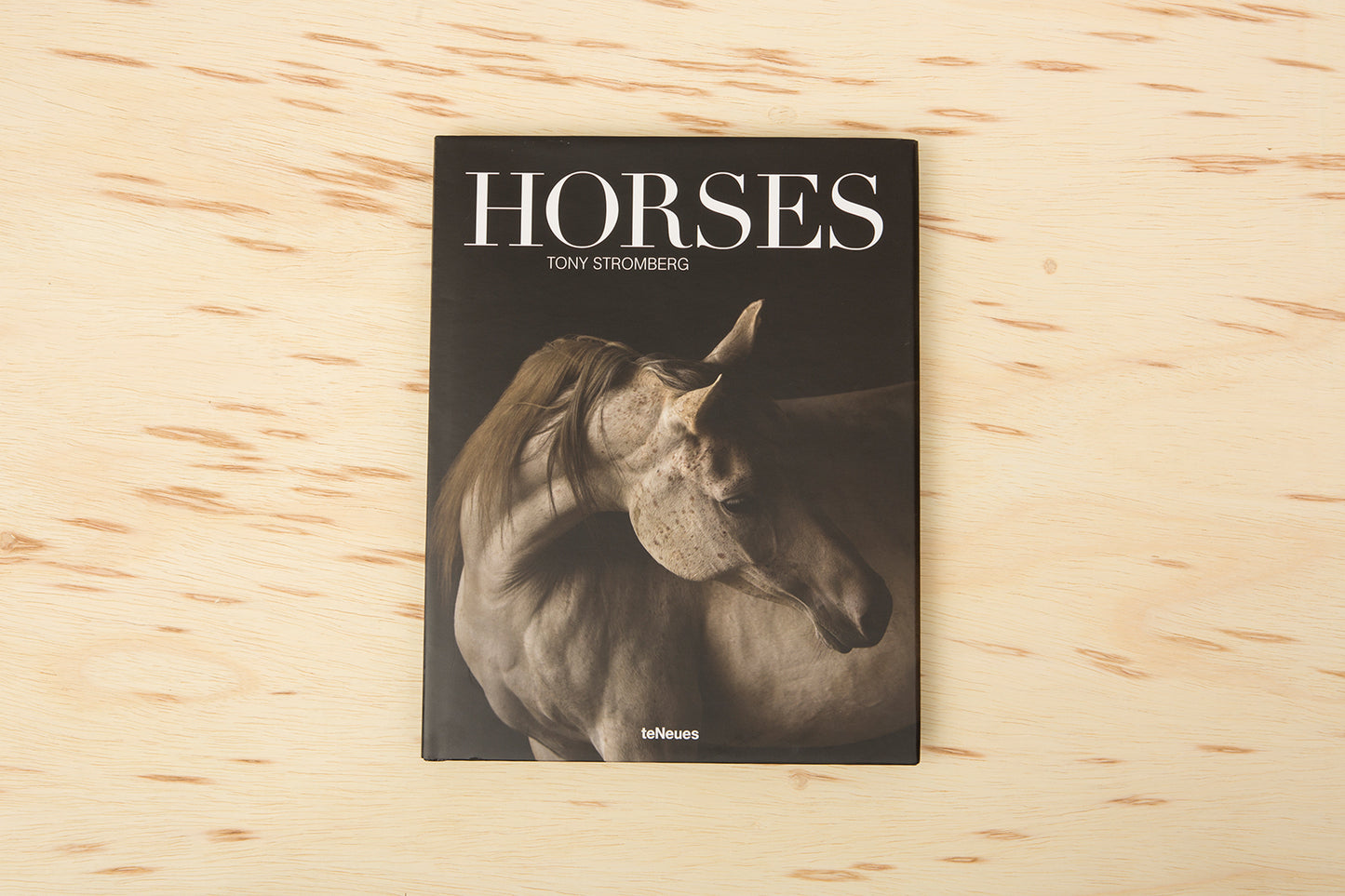 Horses by Tony Stromberg