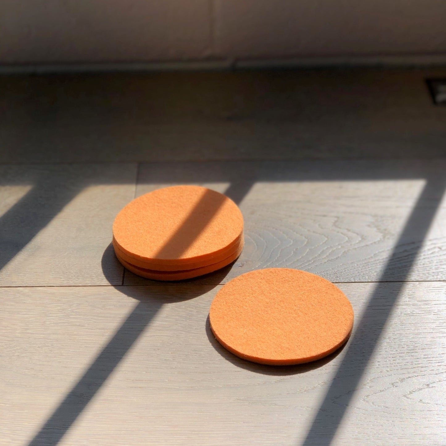 Pressed Wool Coasters