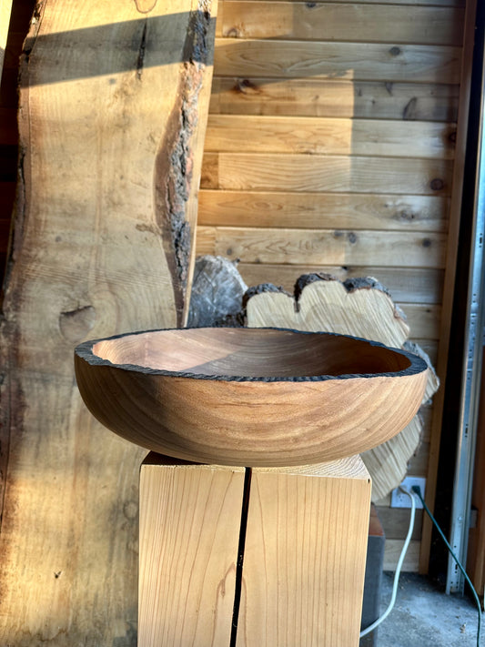 #3 American Elm 18" 3/4 Diameter Bowl evenly craved black rim