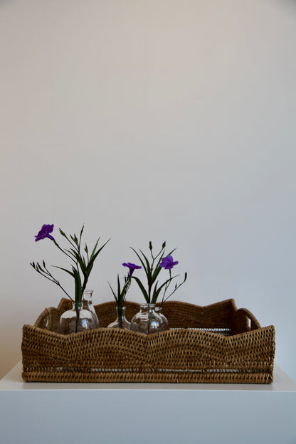 Bud Vase Set of 5