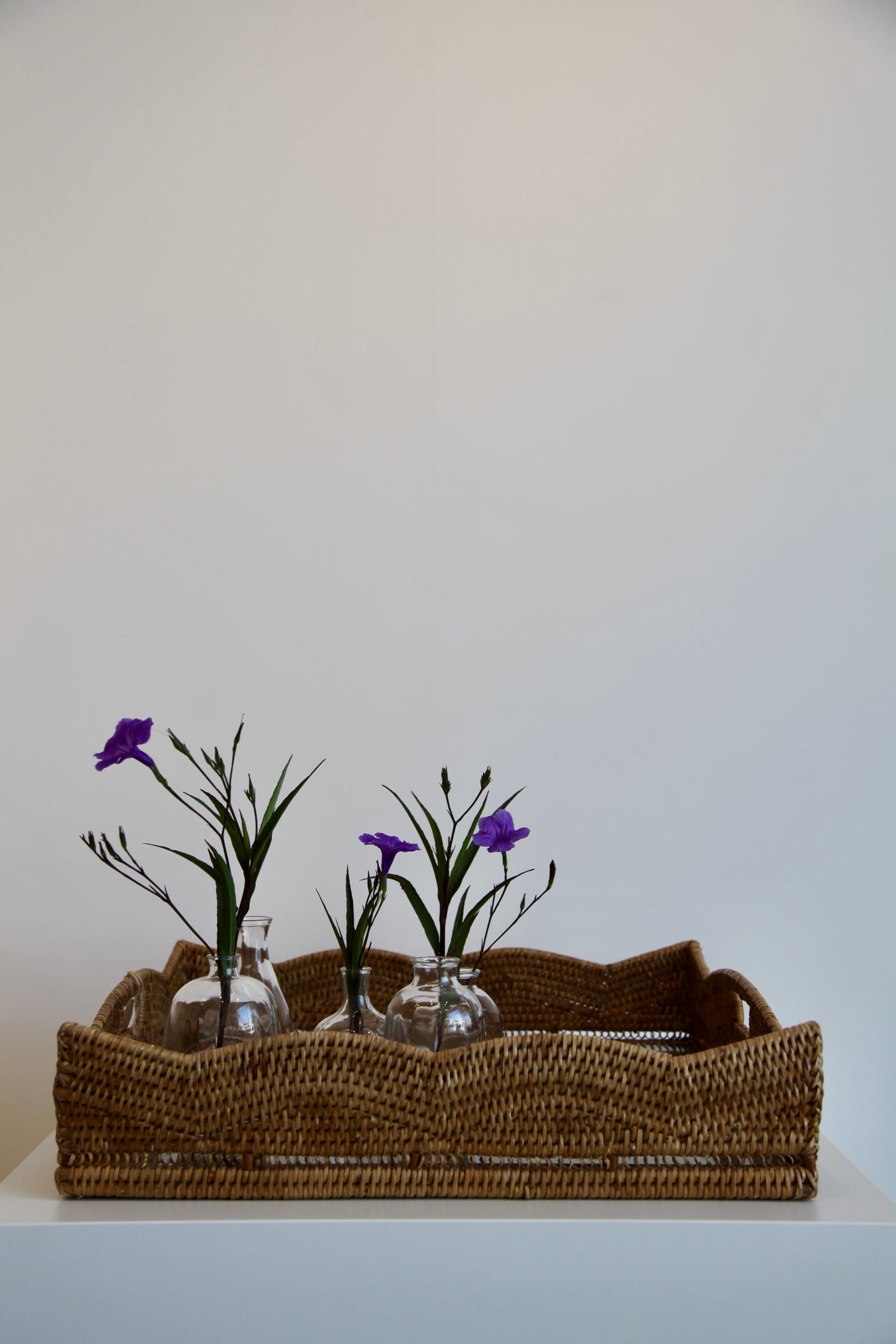 Rattan Tray