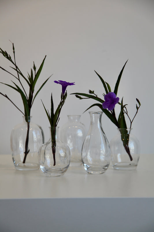 Bud Vase Set of 5