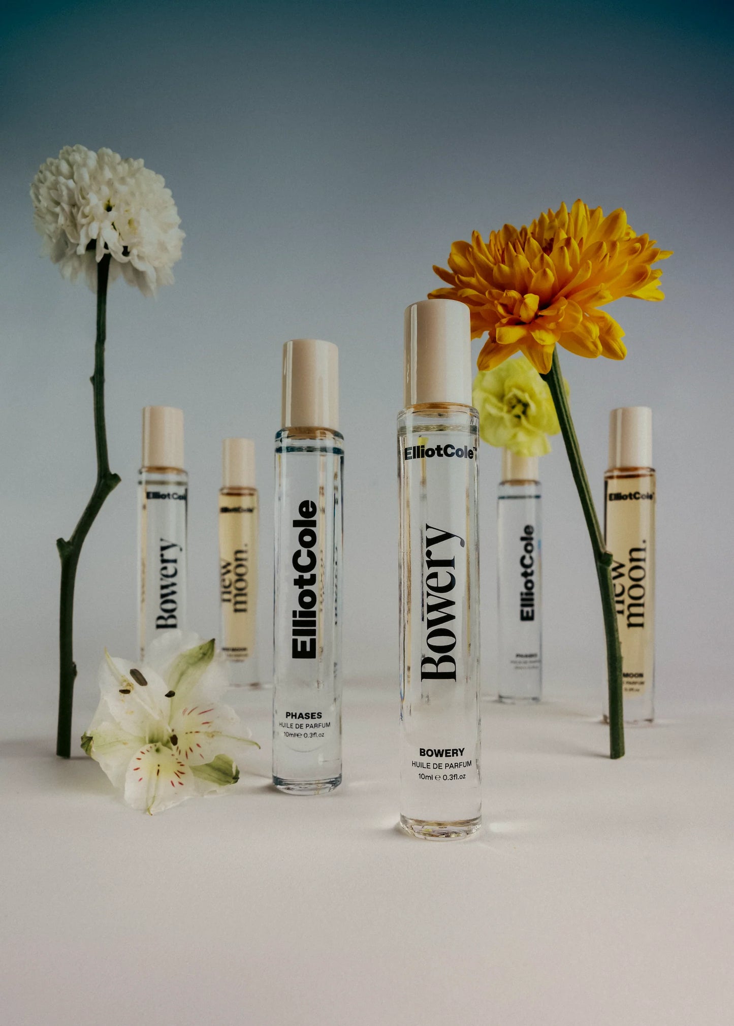 Elliot Cole Phases + New Moon + Bowery Trio