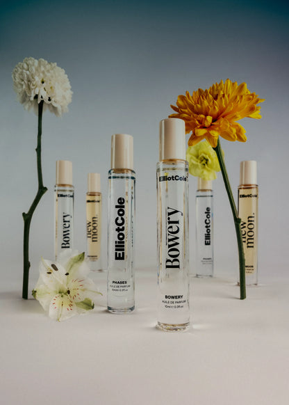 Elliot Cole Phases + New Moon + Bowery Trio