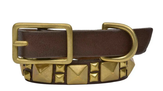 Pera 15" Dog Collar