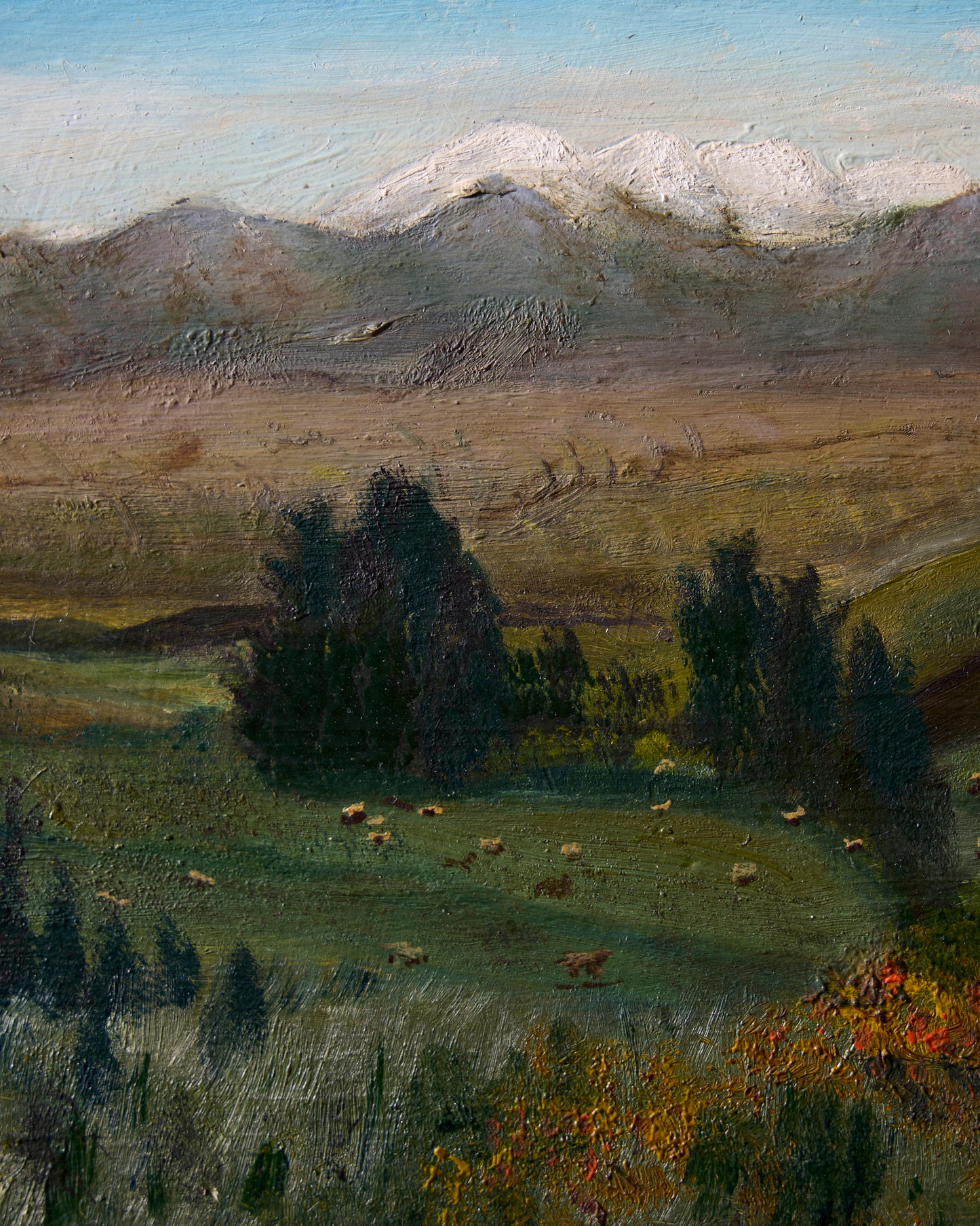Rolling Hills