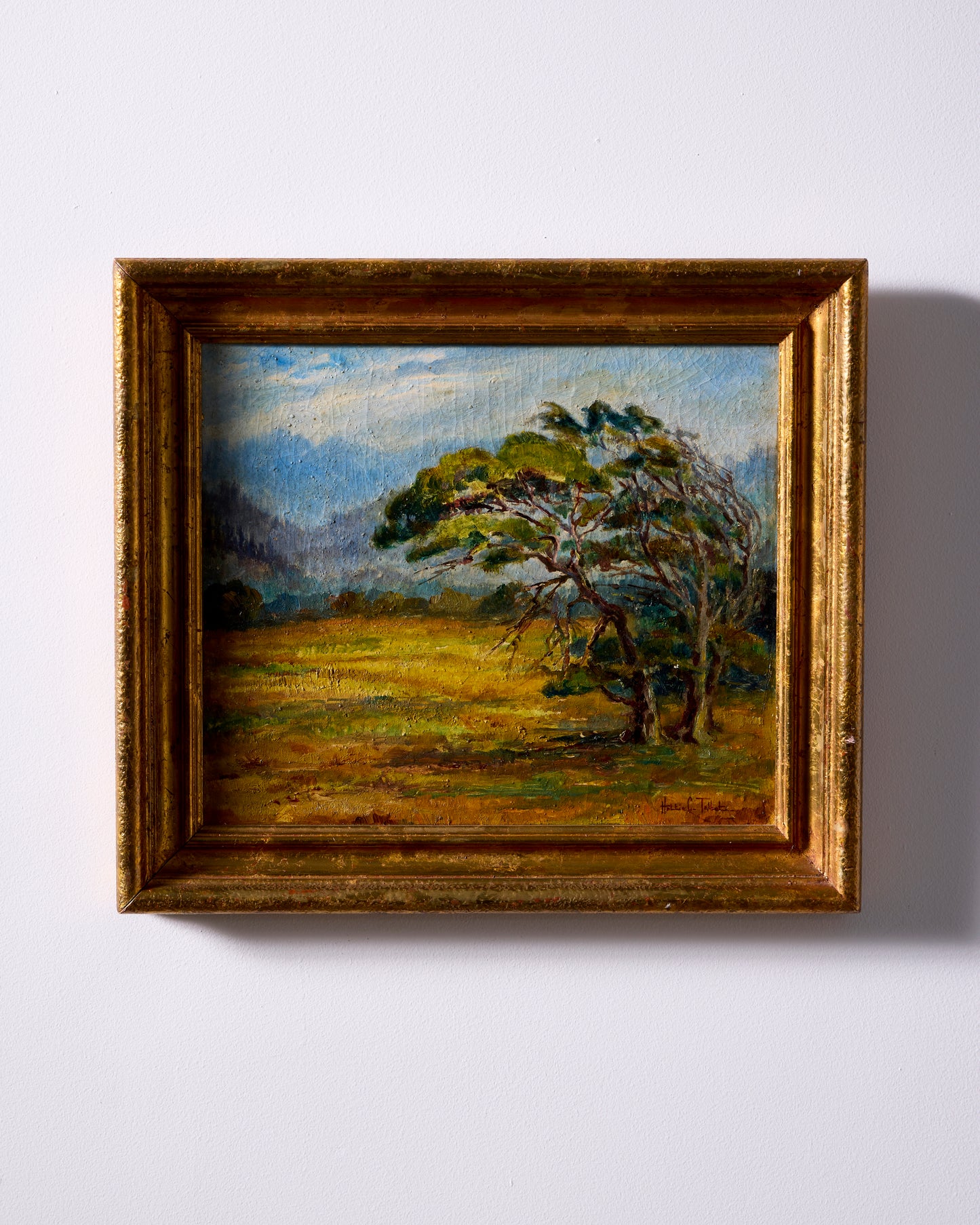 Blowing Tree