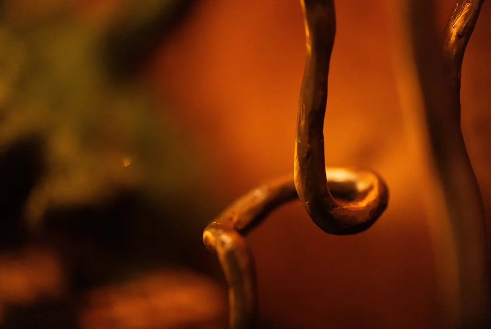 Twisted Seaweed Candlesticks