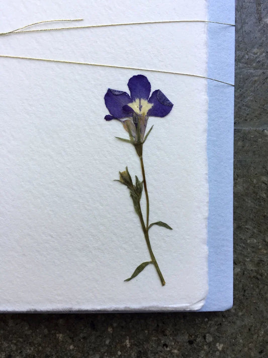 Pressed Flower Notes