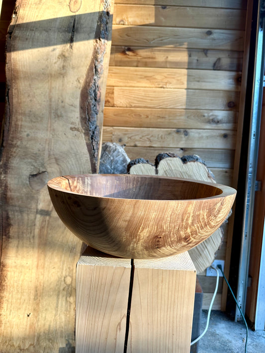 Elm Epicurean by Laura Yeats