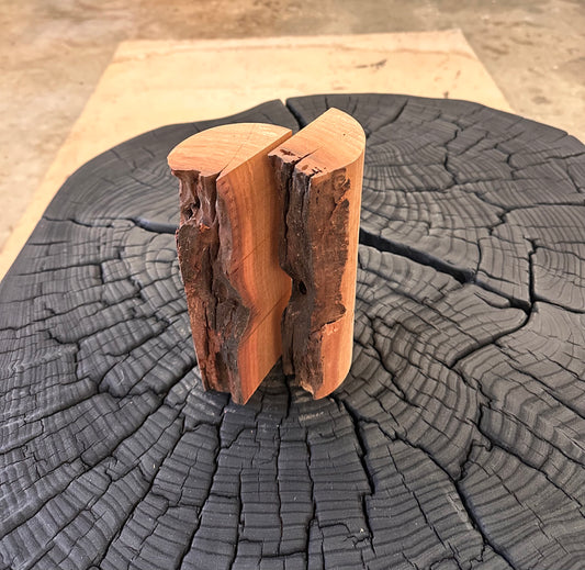 Madrona Pillar Duo by Laura Yeats