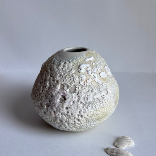 Yellow Sea shell vase by Annie Starling Sparks