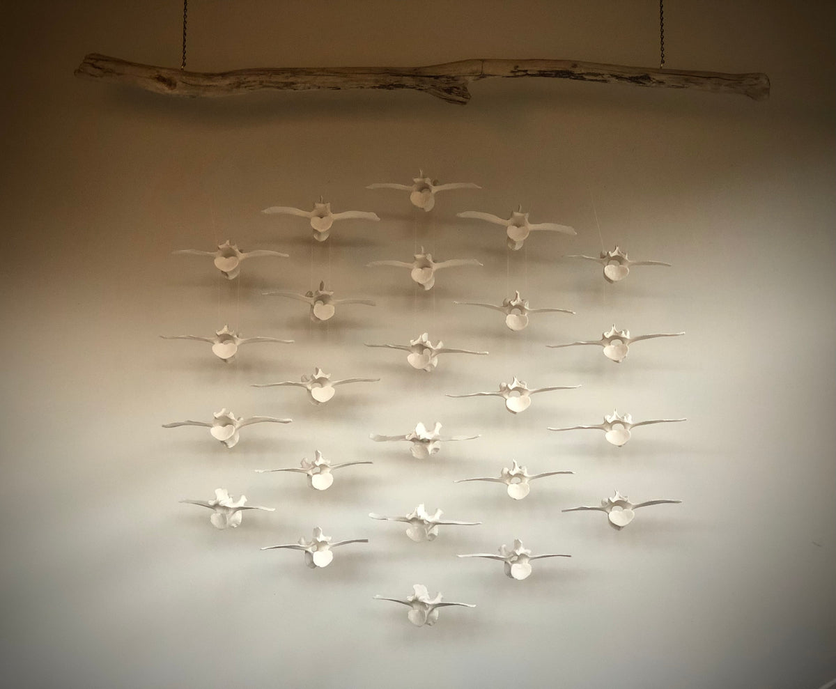 Migration by Chandelle Anderson