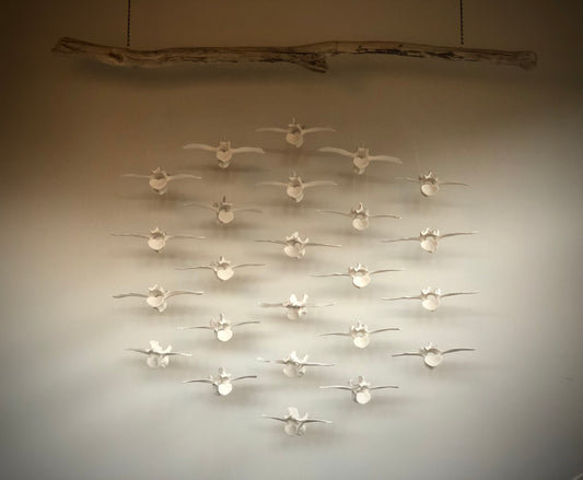 Migration by Chandelle Anderson