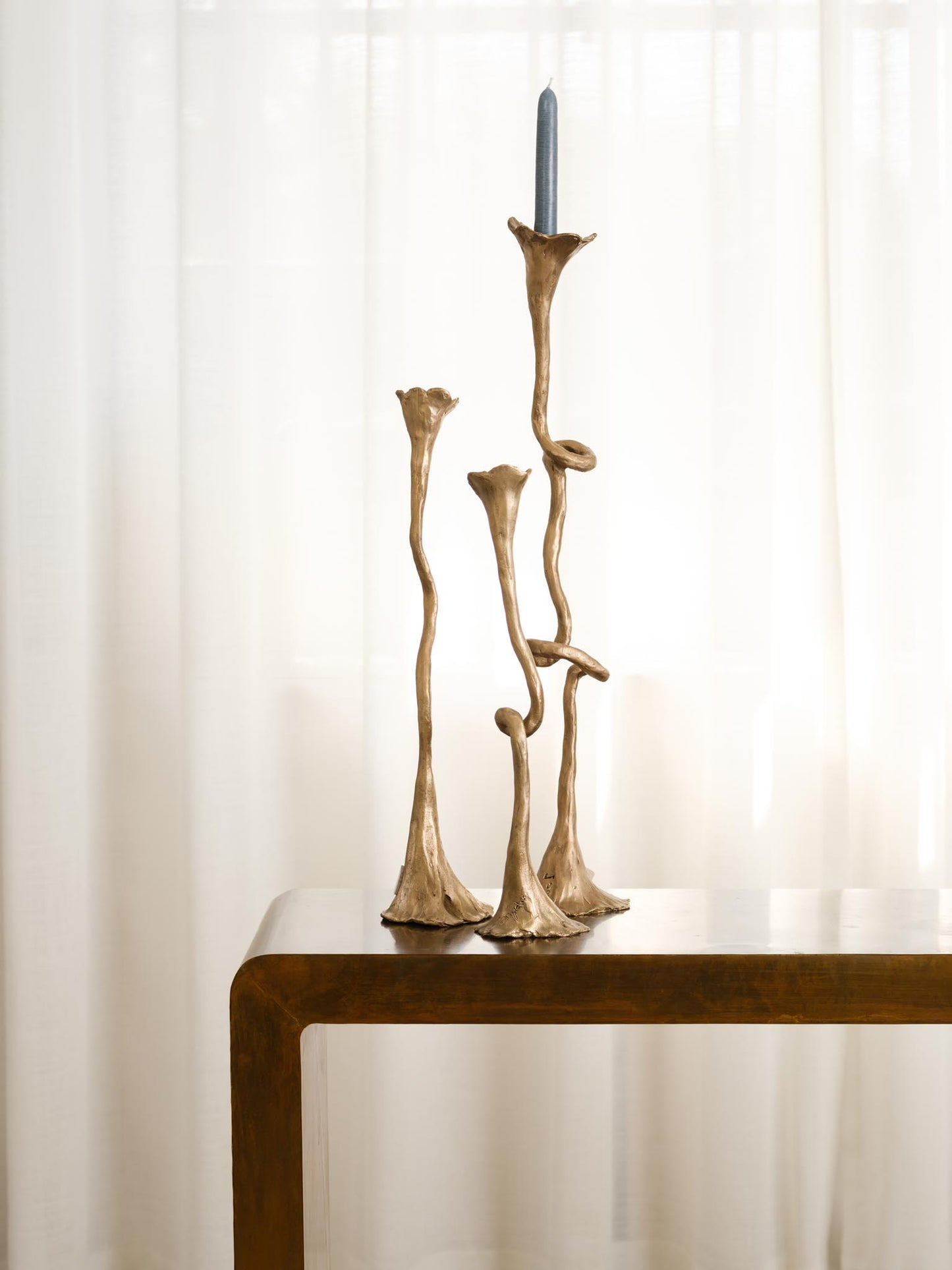 Twisted Seaweed Candlesticks