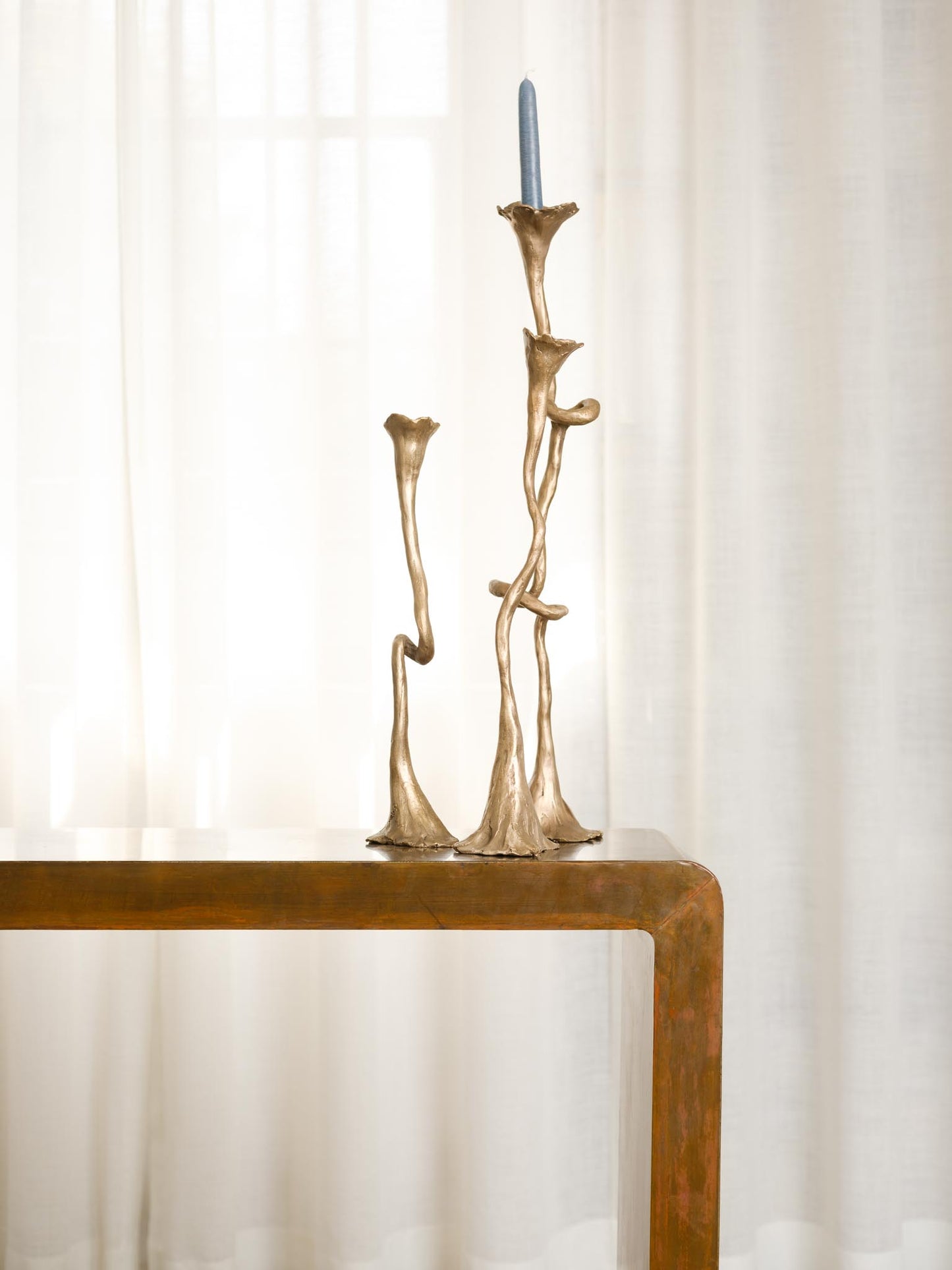Twisted Seaweed Candlesticks