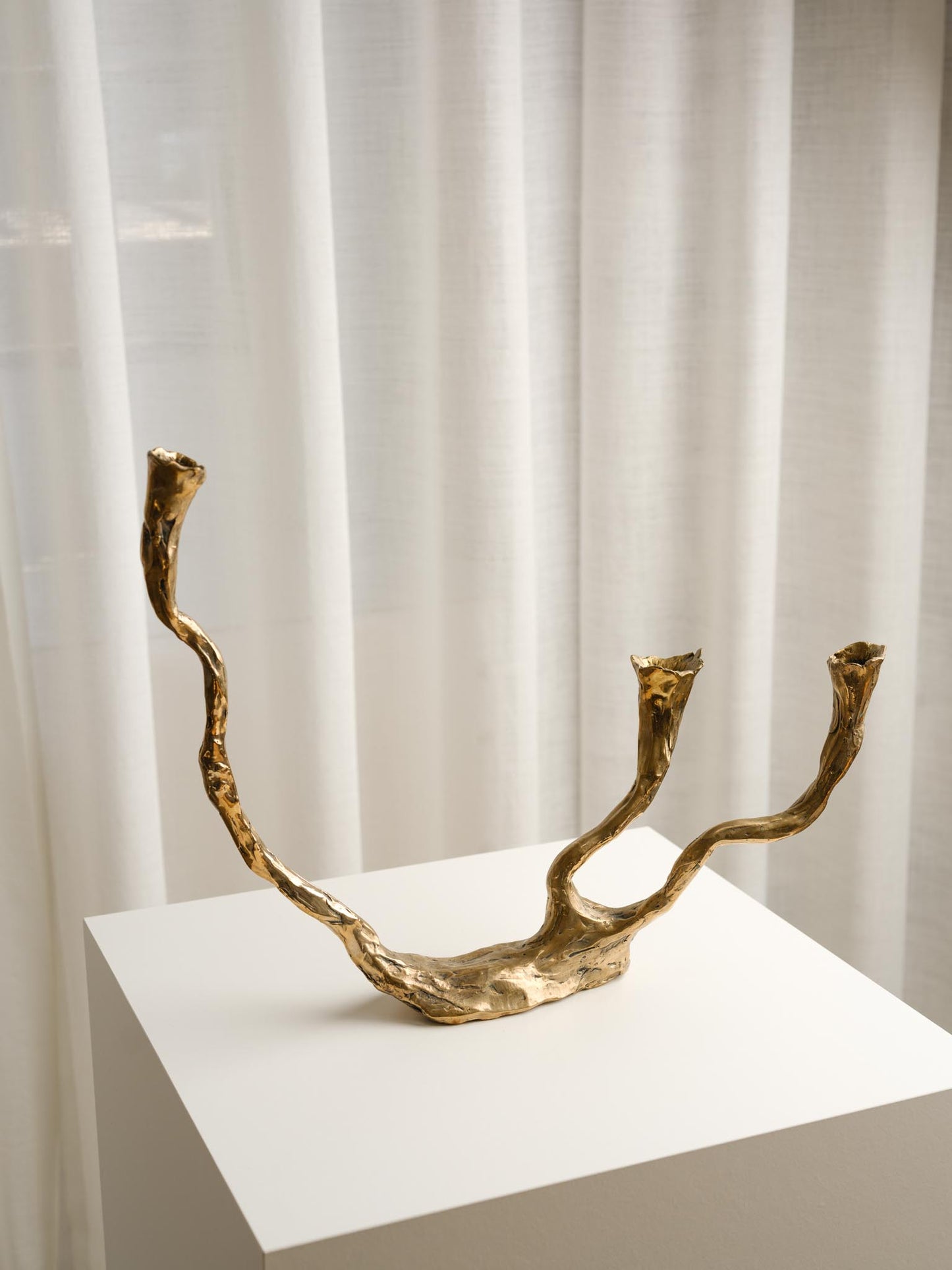 Stem of Seaweed Candlestick