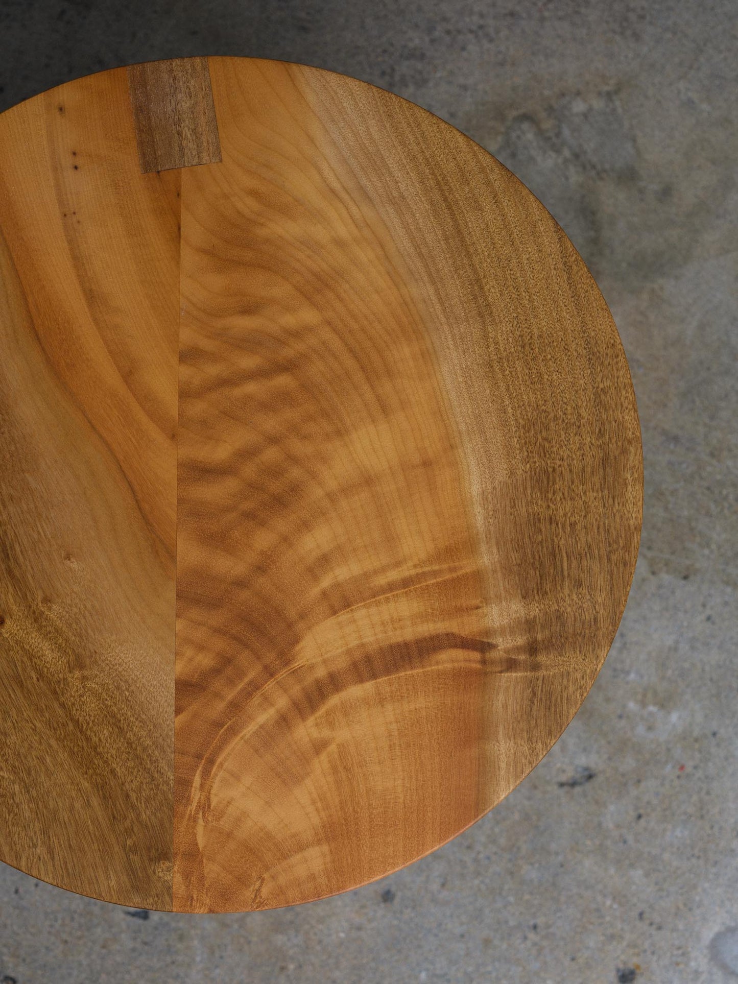 Bay laurel Toad stool