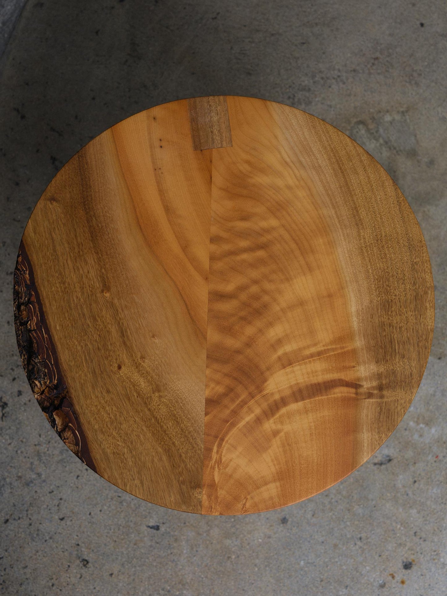 Bay laurel Toad stool