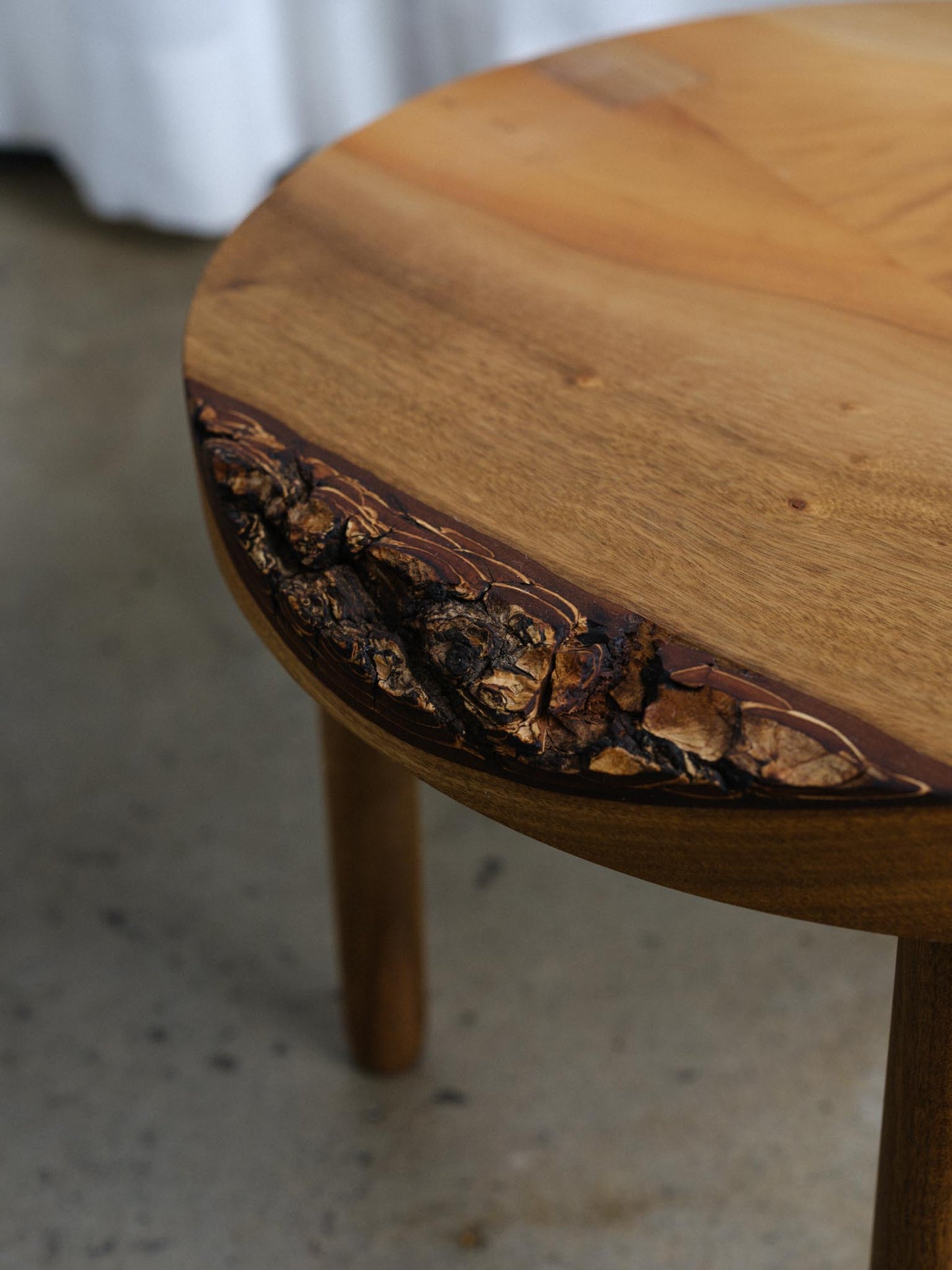 Bay laurel Toad stool