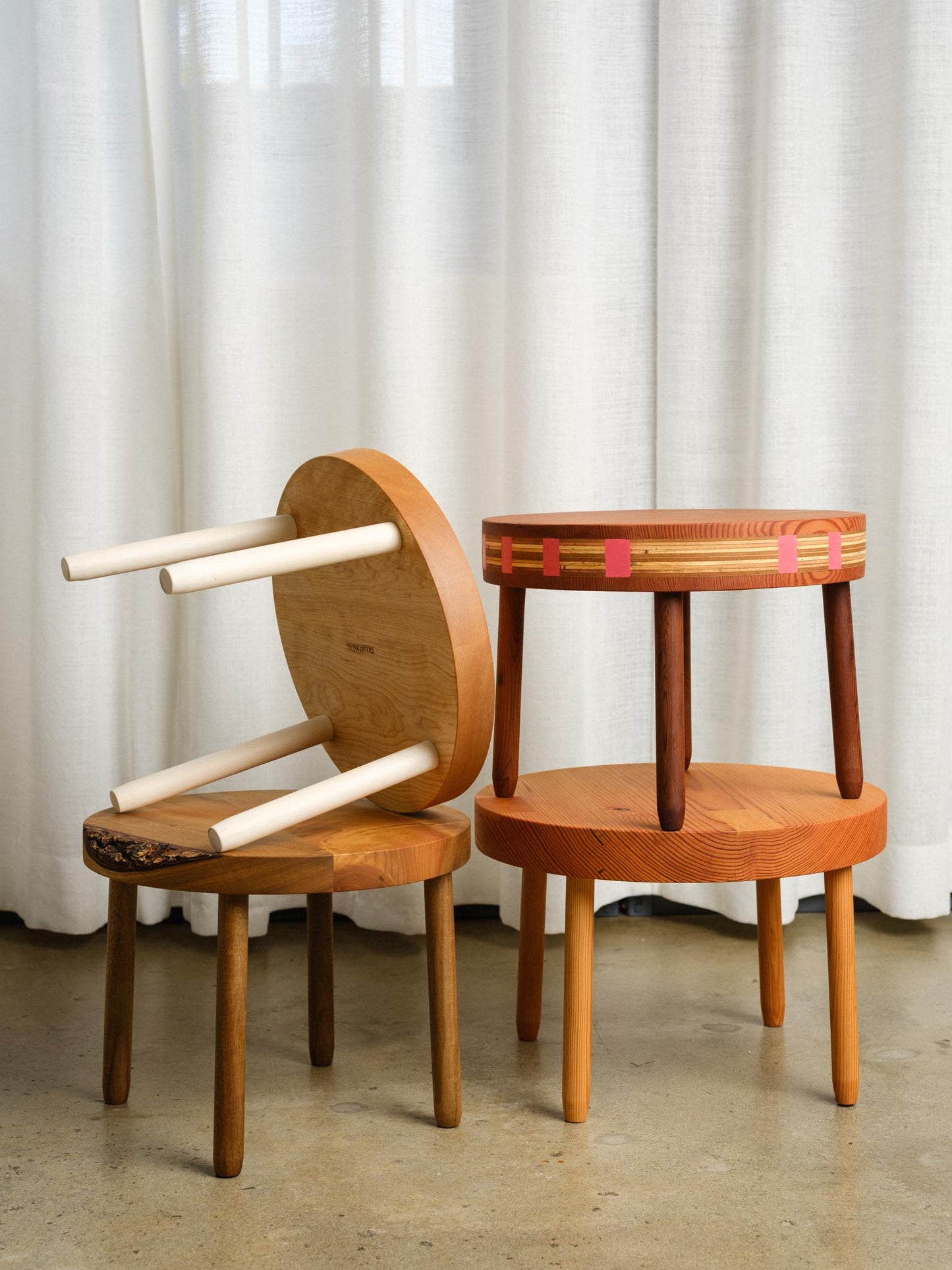 Bay laurel Toad stool