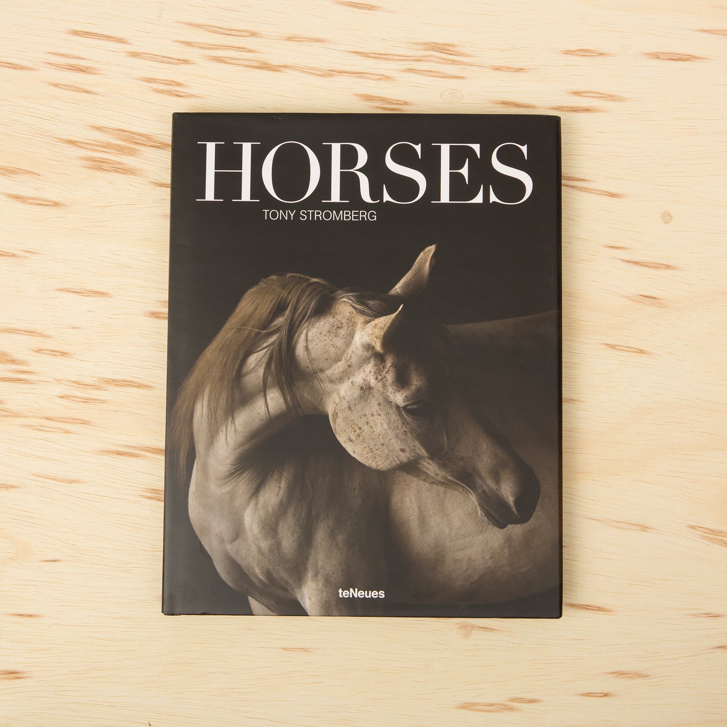 Horses by Tony Stromberg