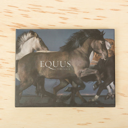 Equus by Tim Flach
